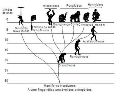 A ‍Evolução dos Veículos Autônomos e sua Influência no Mercado